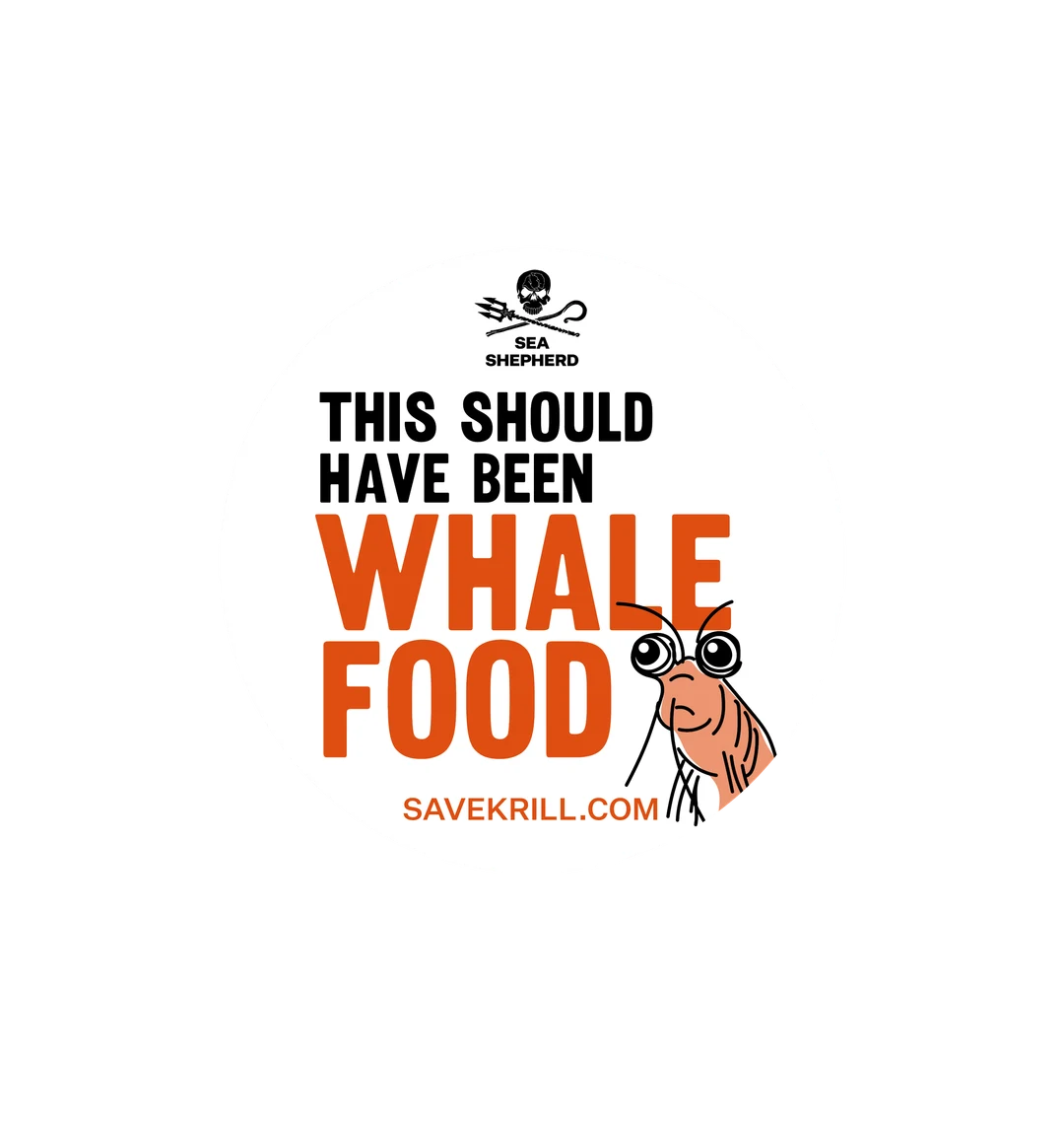 Sticker This Should Have Been Whale Food