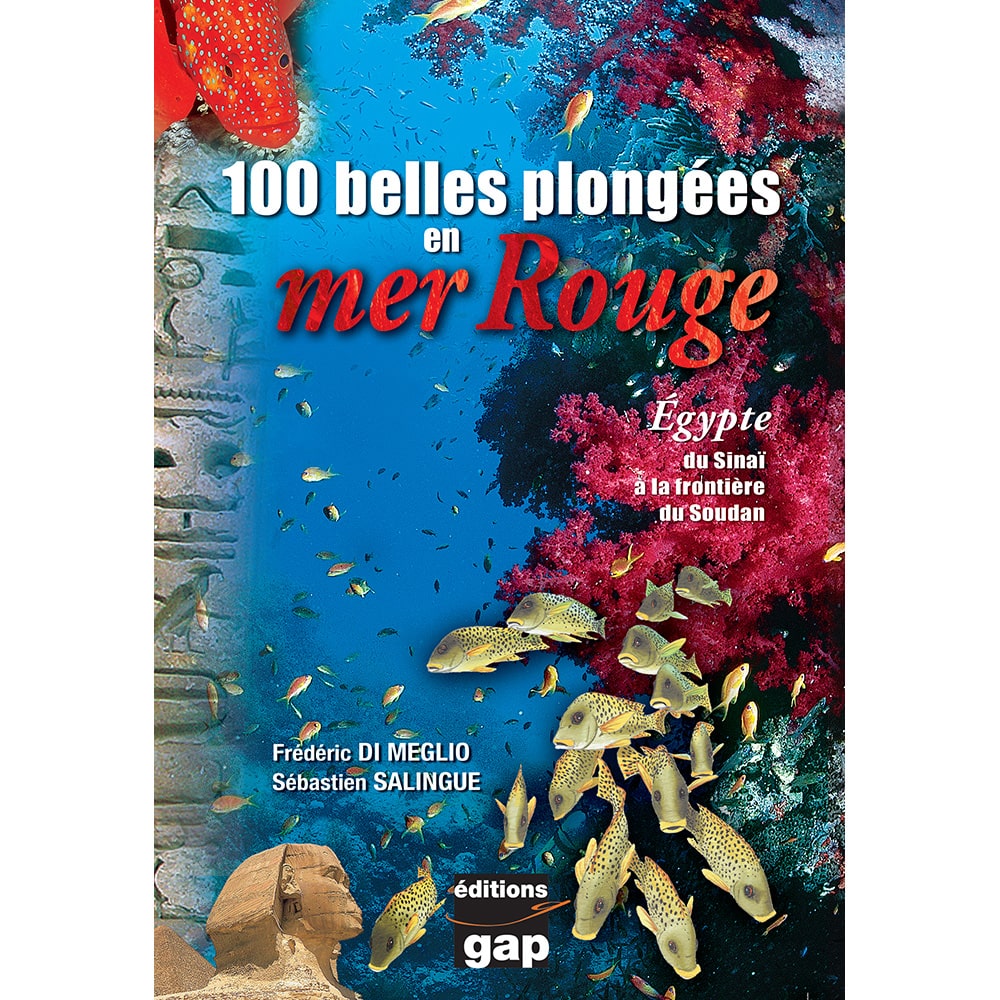 100 belles plongées en mer rouge