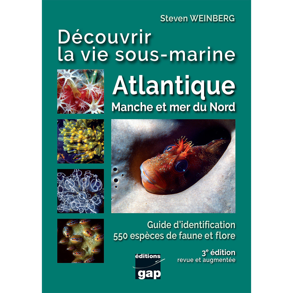 Découvrir la vie sous-marine Atlantique, Manche et Mer du Nord