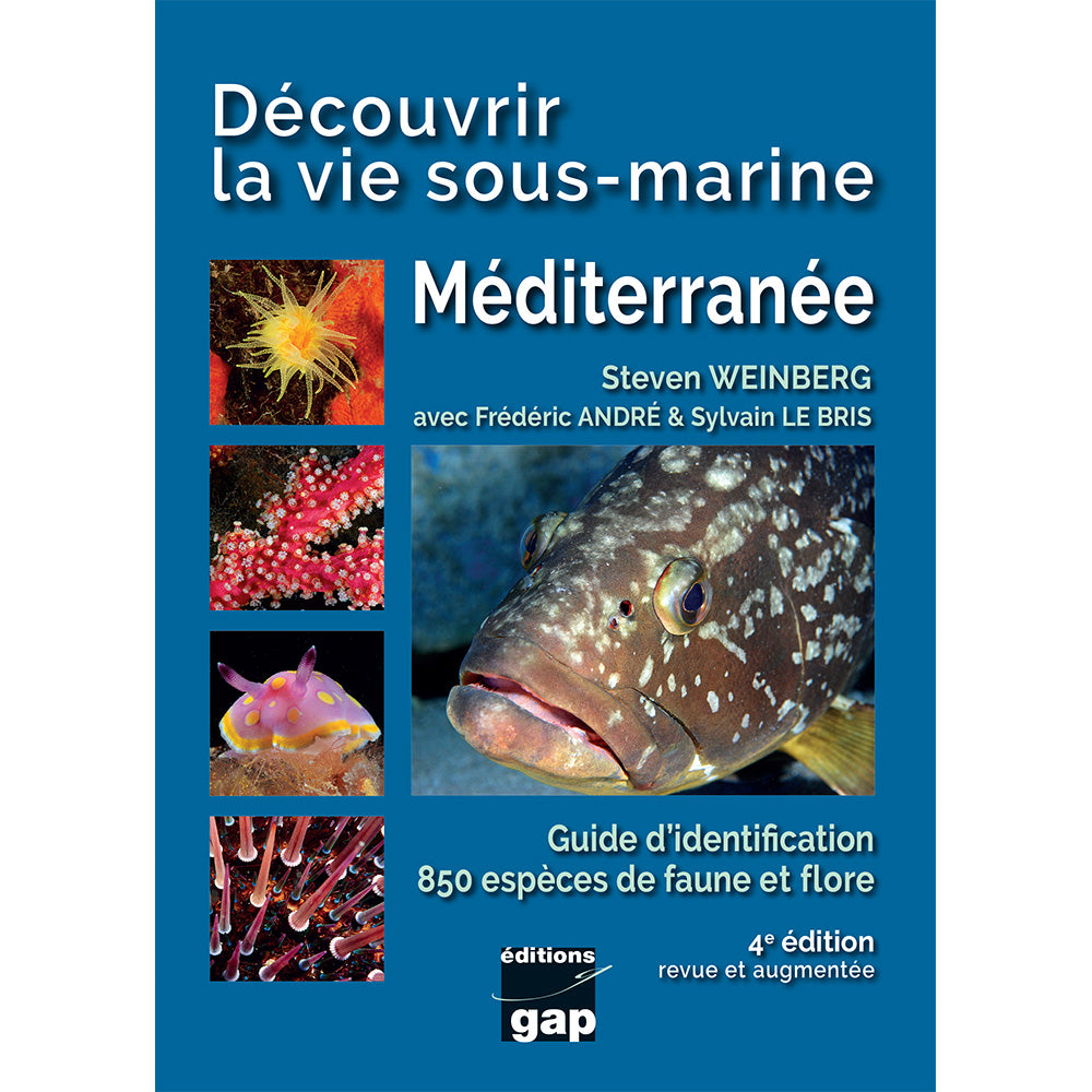 Découvrir la vie sous-marine Méditerranée